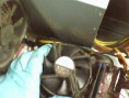 /album/mto-preventivo/guiomar-4-jpg/